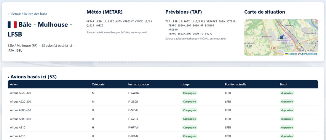 Rubrique Avions basés ici du hub LFSB : tableau des avions avec immatriculation, usage, position et statut